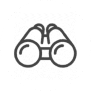 values-curious@2x