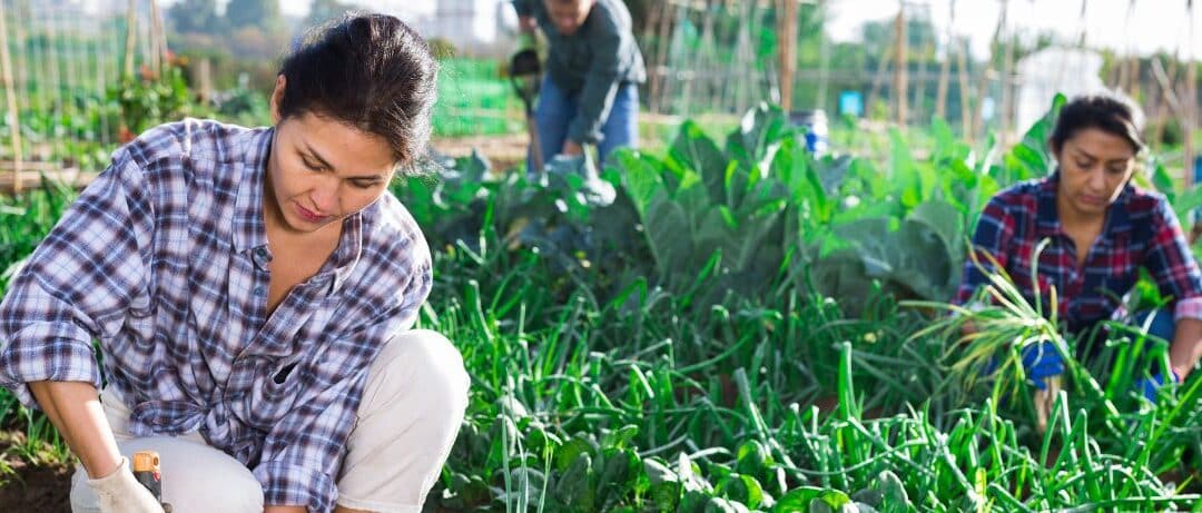 Cultivating Health and Community: The Benefits of Urban Farming in Riverside